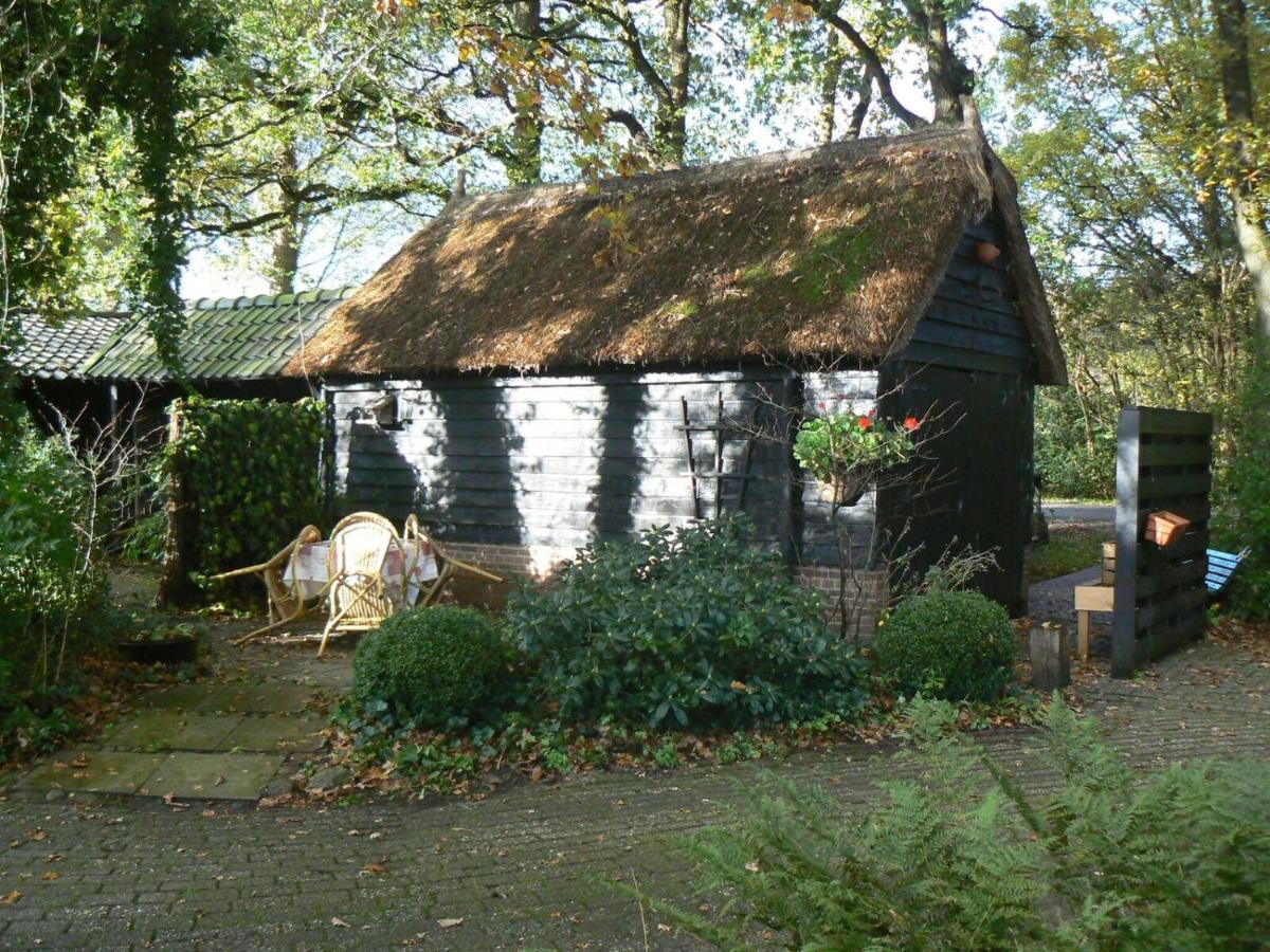 Willa Hoeve Den Anholt Ruinen Zewnętrze zdjęcie