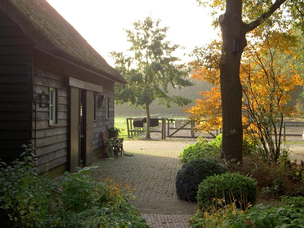 Willa Hoeve Den Anholt Ruinen Zewnętrze zdjęcie