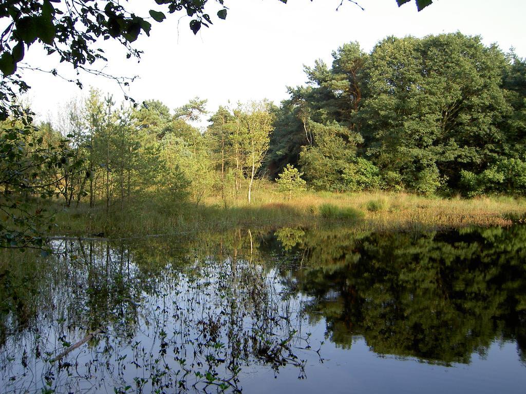 Willa Hoeve Den Anholt Ruinen Zewnętrze zdjęcie