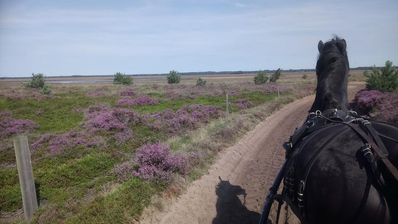 Willa Hoeve Den Anholt Ruinen Zewnętrze zdjęcie