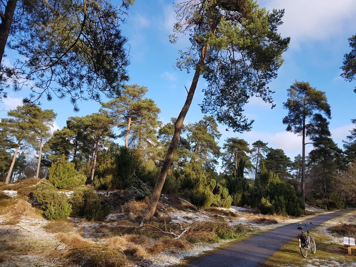 Willa Hoeve Den Anholt Ruinen Zewnętrze zdjęcie