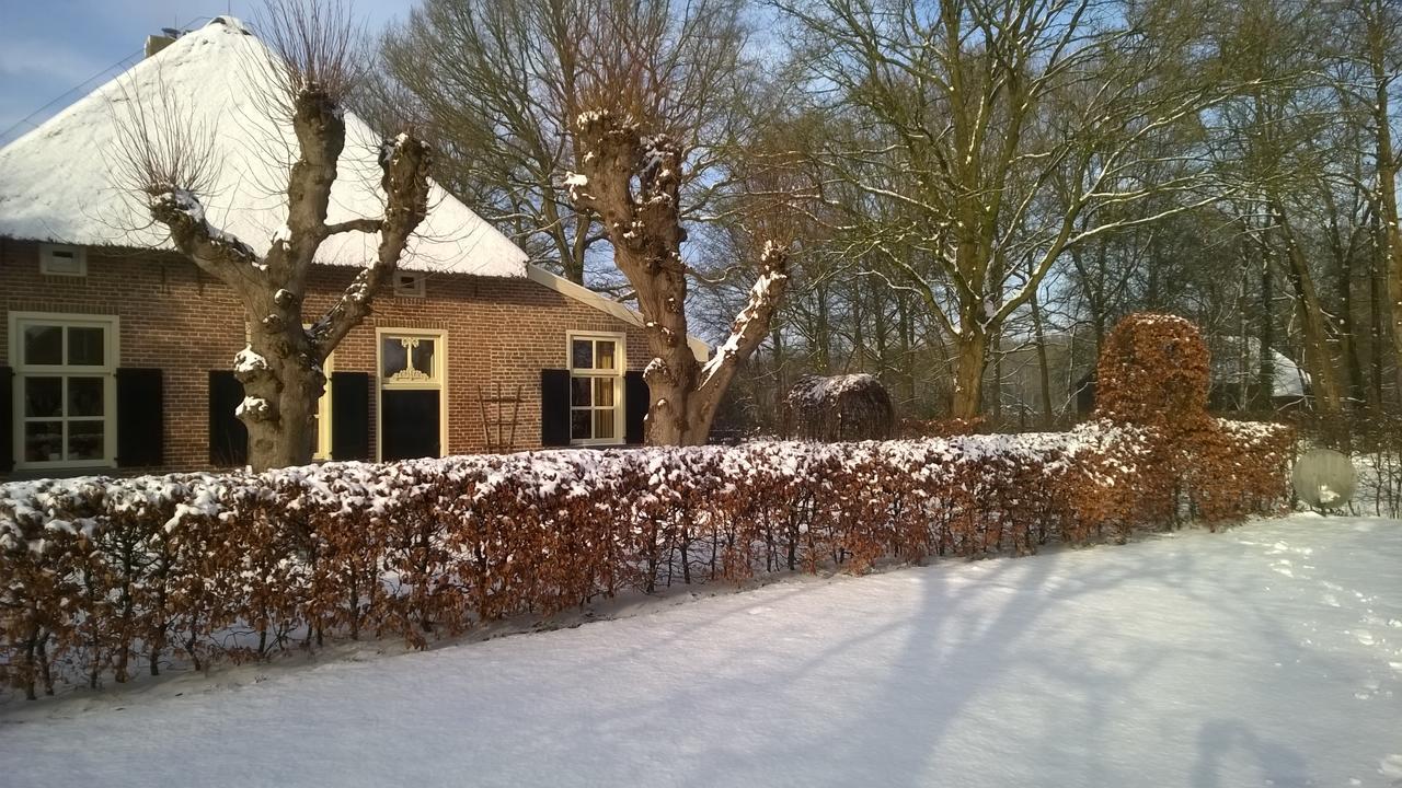 Willa Hoeve Den Anholt Ruinen Zewnętrze zdjęcie