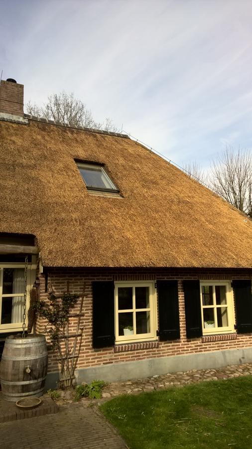 Willa Hoeve Den Anholt Ruinen Zewnętrze zdjęcie