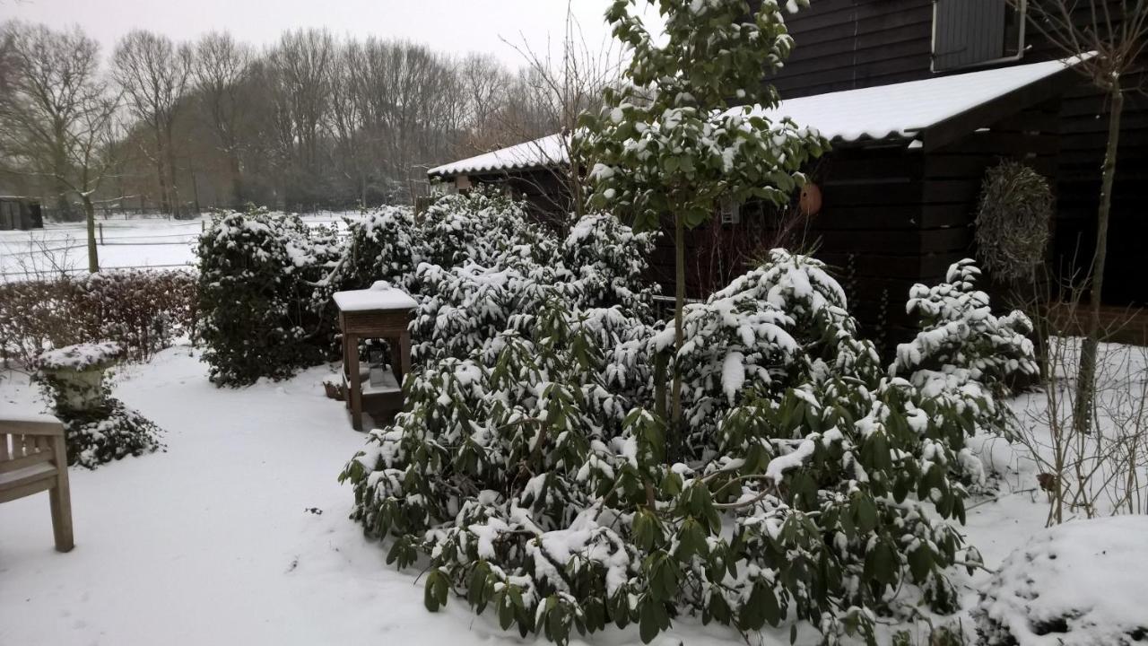 Willa Hoeve Den Anholt Ruinen Zewnętrze zdjęcie