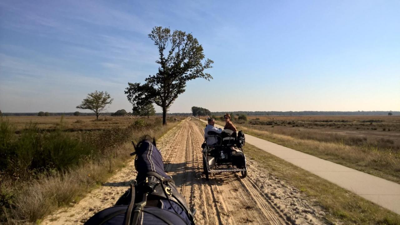 Willa Hoeve Den Anholt Ruinen Zewnętrze zdjęcie