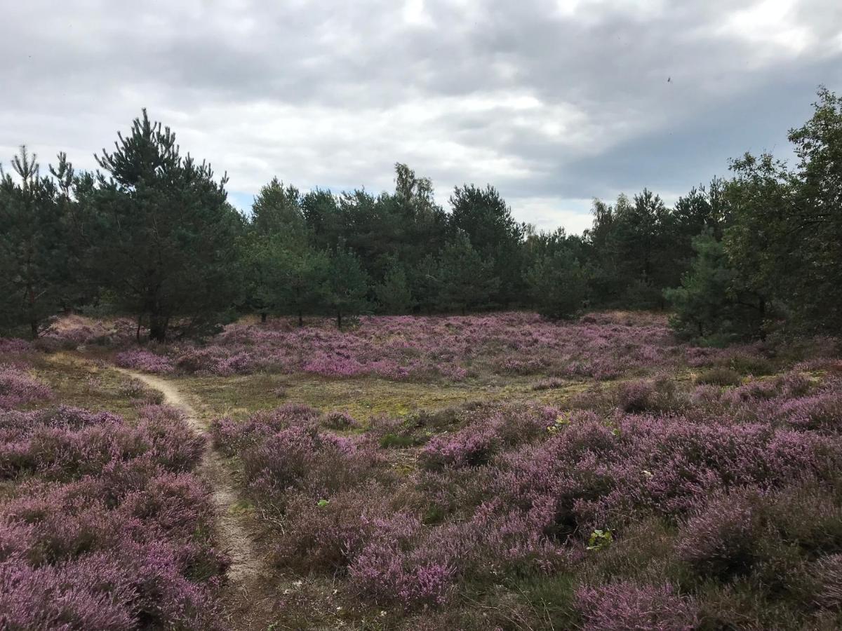Willa Hoeve Den Anholt Ruinen Zewnętrze zdjęcie