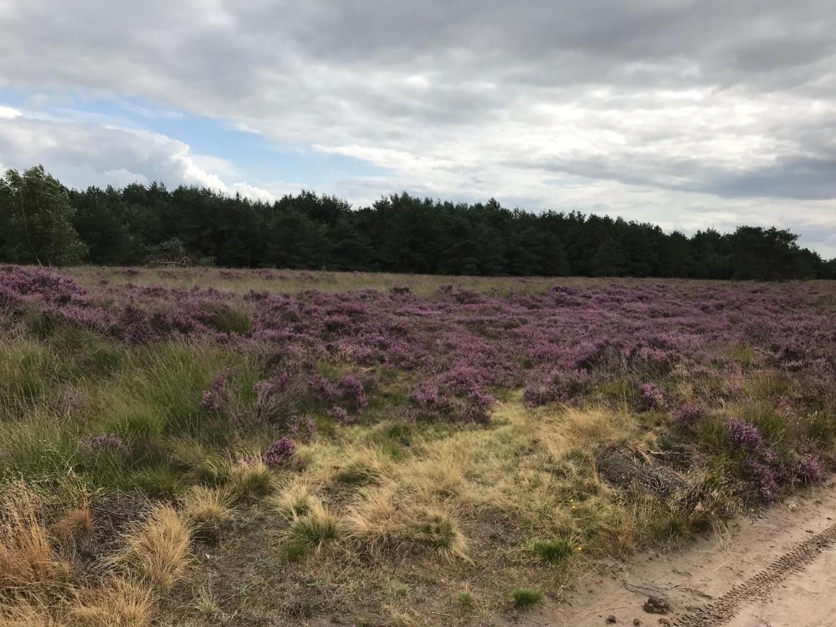 Willa Hoeve Den Anholt Ruinen Zewnętrze zdjęcie