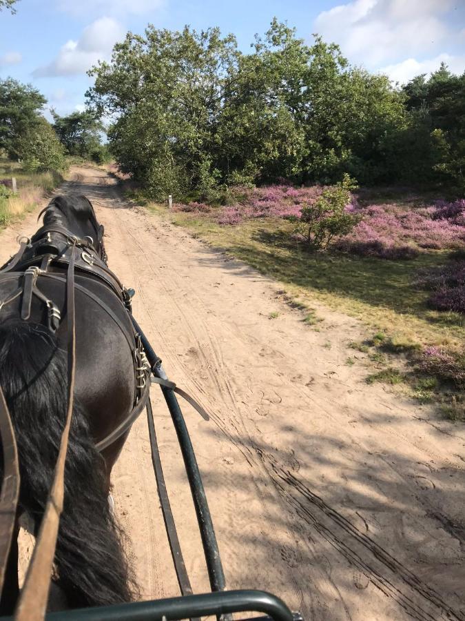 Willa Hoeve Den Anholt Ruinen Zewnętrze zdjęcie