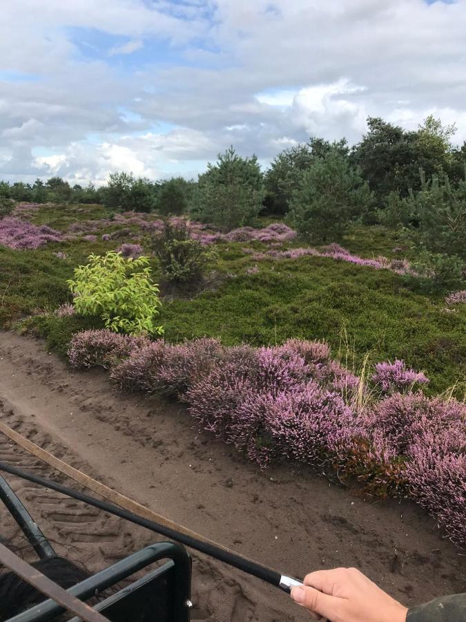 Willa Hoeve Den Anholt Ruinen Zewnętrze zdjęcie