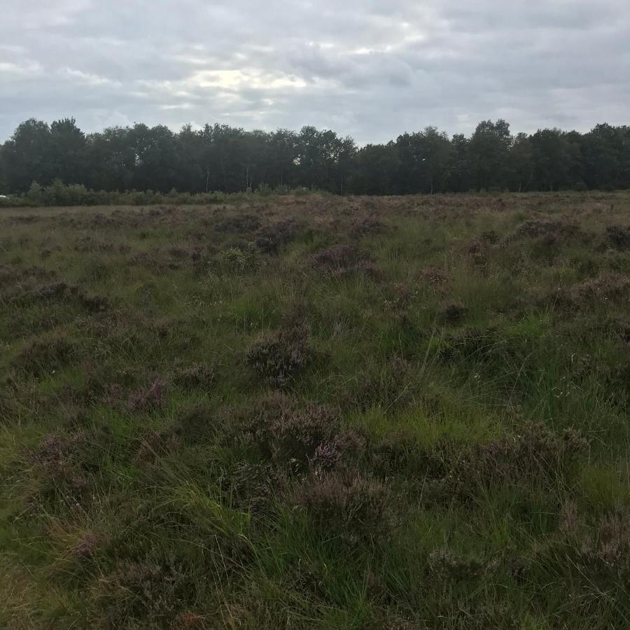 Willa Hoeve Den Anholt Ruinen Zewnętrze zdjęcie