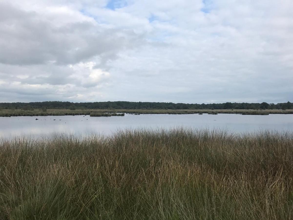 Willa Hoeve Den Anholt Ruinen Zewnętrze zdjęcie