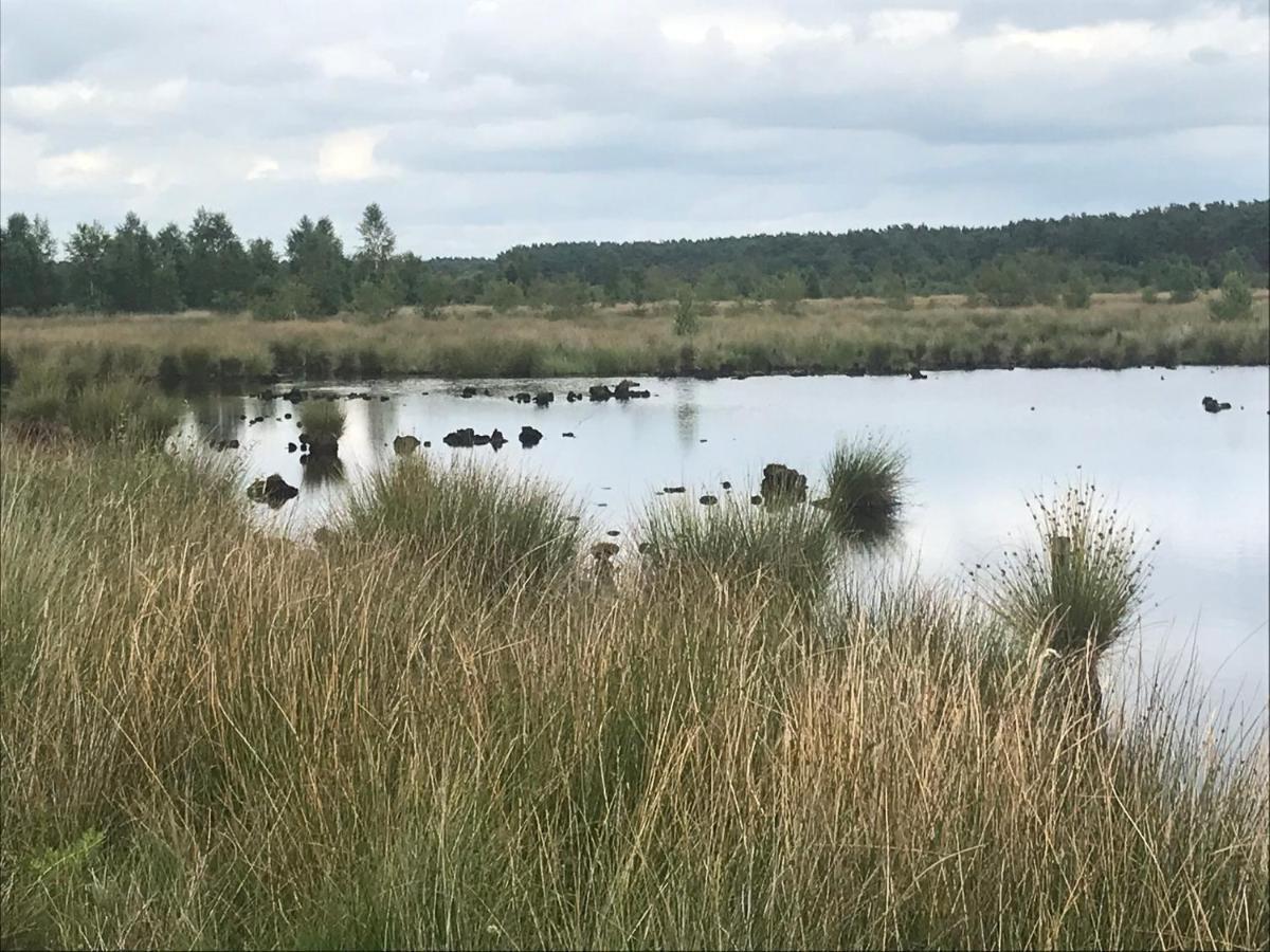 Willa Hoeve Den Anholt Ruinen Zewnętrze zdjęcie