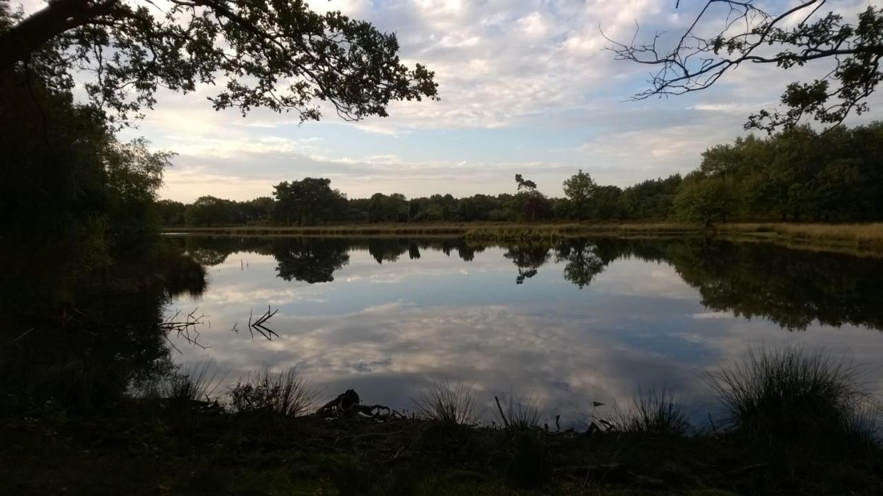Willa Hoeve Den Anholt Ruinen Zewnętrze zdjęcie